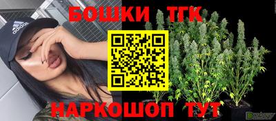PSILOCYBIN Гагарин