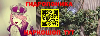 ALPHA PVP Гатчина