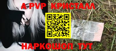 spice Гай