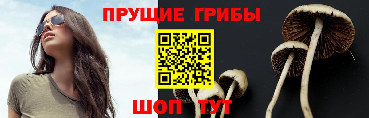 Галлюциногенные грибы прущие грибы  Вход с VPN  Искитим 